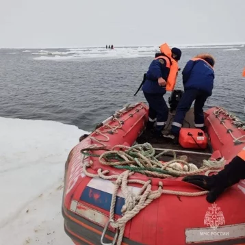 Фото: На Сахалине сотрудники МЧС спасли с отколовшейся льдины 7 взрослых и ребёнка 1
