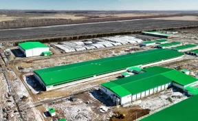 В Кузбассе животноводческий комплекс за 10 млрд рублей достроят к 2030 году