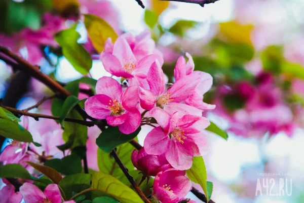 Россиян в мае ждёт 19 рабочих и 12 выходных дней