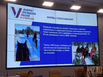 Фото: В Кузбассе до избирателей в удалённых посёлках будут добираться на снегоходах и лошадях 1