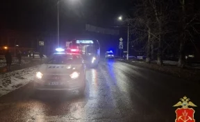 Автобус насмерть сбил 23-летнюю девушку на пешеходном переходе в Кемерове: водителя будут судить