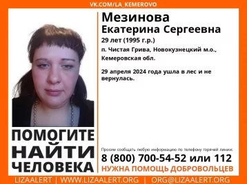 Фото: В Кузбассе девушка ушла в лес и исчезла, начались поиски 1