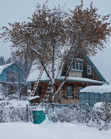 Жительница Кузбасса попросила Илью Середюка побыть «дедушкой Морозом» для проблемной деревни