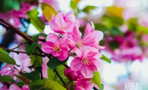 Россиян в мае ждёт 19 рабочих и 12 выходных дней