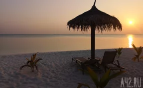 Шри-Ланка начала переговоры с РФ о поставках нефтепродуктов на фоне топливного кризиса