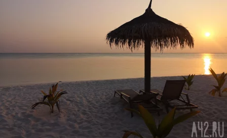 Шри-Ланка начала переговоры с РФ о поставках нефтепродуктов на фоне топливного кризиса