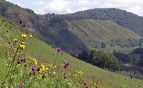 На юге Кузбасса создали новую особо охраняемую природную территорию