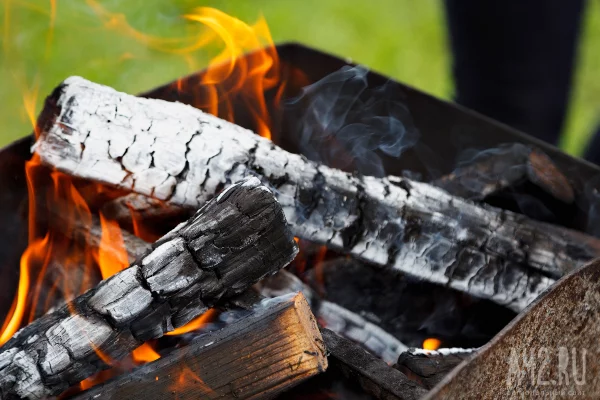 В Кузбассе особый противопожарный режим начнёт действовать с 15 апреля