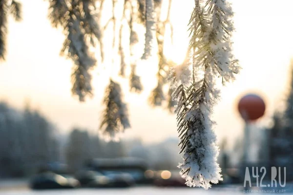 От +12 до -10: синоптики рассказали о погоде в Кузбассе 22 октября