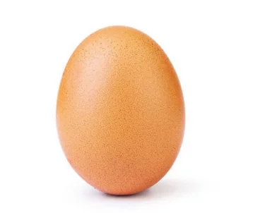 Фото: Фотография яйца побила мировой рекорд лайков Instagram 1