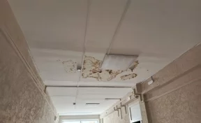 В Новокузнецке кровля затопленной во время дождей гимназии снова дала течь