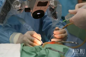 Фото: Врачам впервые удалось трансплантировать человеку конечность от живого донора 1