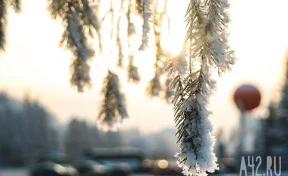 От +12 до -10: синоптики рассказали о погоде в Кузбассе 22 октября