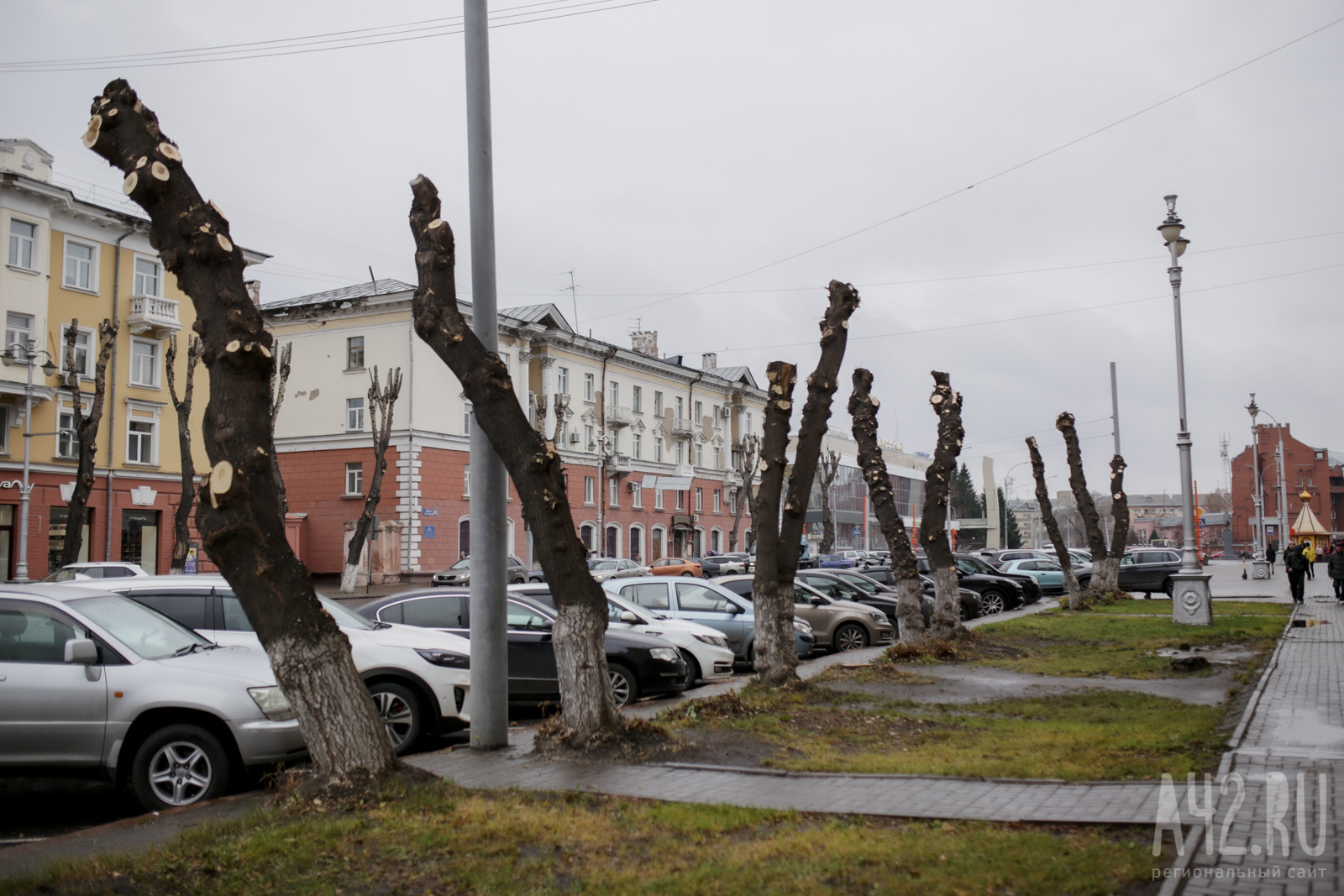 Глава Кемерова ответил на критику озеленения города