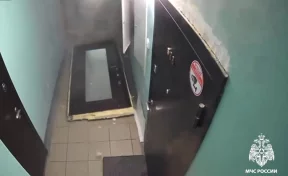 Собака устроила взрыв в квартире в Новосибирске