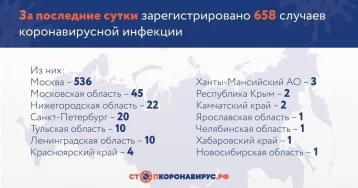 Фото: В России за сутки зарегистрировали 658 новых случаев заражения коронавирусом 1
