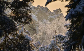 День Анисьи Зимней: приметы на 12 января