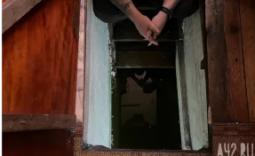 Гость-ротан: карпам в подвале подтопленного дома в Белове привезли пополнение и установили аэратор