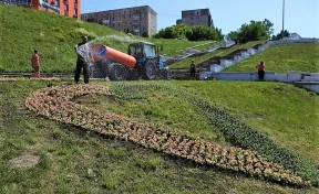 В Кемерове высадили цветочную композицию в форме сердца из 800 цветов