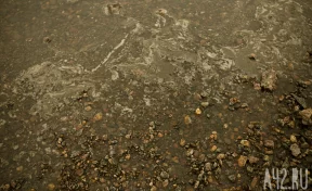 Тело мужчины с рюкзаком вытащили из Мойки в Санкт-Петербурге