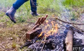 Пожарные 260 раз боролись с возгораниями сухой травы за минувшие выходные в Кузбассе
