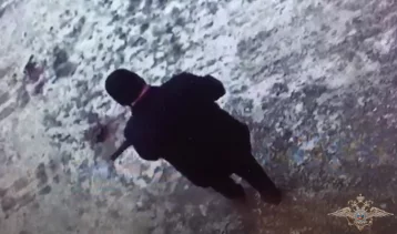 Фото: Стрелявший в центре Новокузнецка пенсионер попал на видео 1