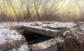 В Прокопьевске обнаружили тела двух 10-летних мальчиков