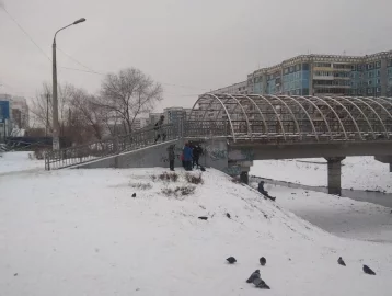 Фото: В Кузбассе дети устроили опасные развлечения под мостом 1