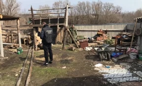 Задержаны подозреваемые в зверском убийстве школьницы в Ульяновской области
