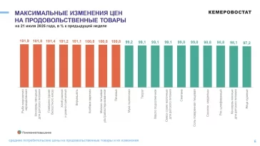 Инфографика: Кемеровостат