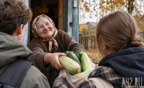 Врач назвала овощ, полезный при гипертонии и болезнях сердца
