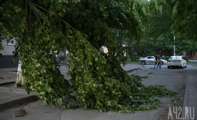 Последствия штормового ветра в Кемерове