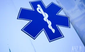 В китайском зоопарке львица через клетку ранила 10-летнюю девочку