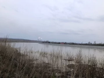 Фото: В Кузбассе вышедшая из берегов река подтопила дачные участки 1