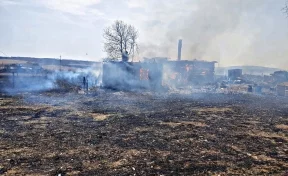 В Кузбассе из-за поджога травы сгорели 4 дома: пожар тушили почти 9 часов