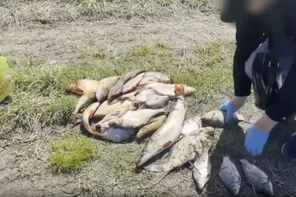 В Кузбассе на Томи полицейские задержали двух браконьеров с сетями