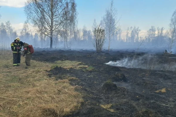 В Кемерове пожарные и спасатели 4 часа тушили горящую траву в СНТ «Радуга»