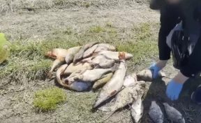 В Кузбассе на Томи полицейские задержали двух браконьеров с сетями