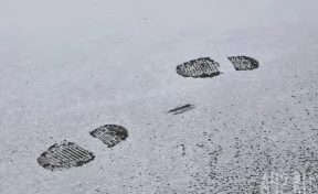 На Камчатке пятиклассник спас провалившегося в сугроб маленького ребёнка