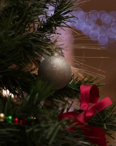 Очередной кузбасский город отметился установкой главной новогодней ели