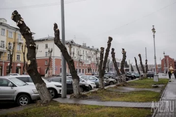 Фото: Глава Кемерова ответил на критику озеленения города 1