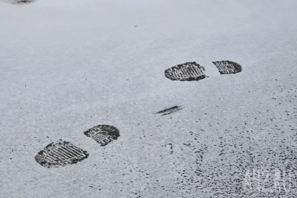 На Камчатке пятиклассник спас провалившегося в сугроб маленького ребёнка