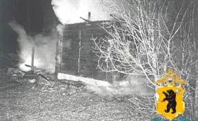 Житель Ярославской области сжёг свой дом из-за семейных проблем