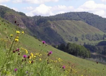 Фото: На юге Кузбасса создали новую особо охраняемую природную территорию 1