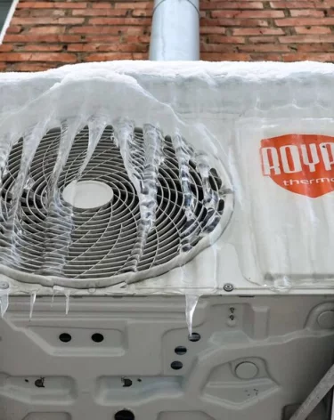 Фото: А42.RU