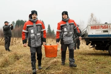 Фото: УК «Кузбассразрезуголь» провела зарыбление верховьев Томи для очистки рек 4