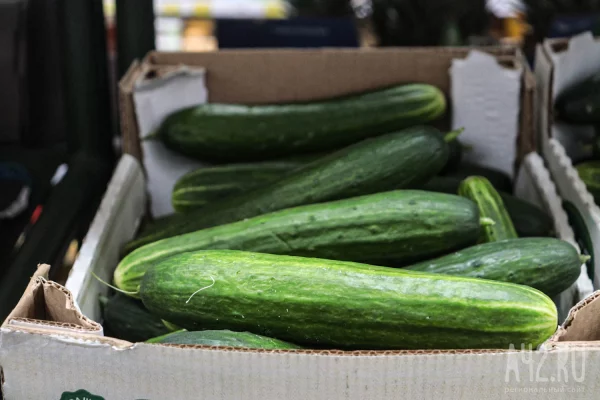 Кемеровостат: в Кузбассе за неделю резко выросли цены на огурцы