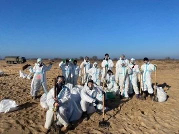 Фото: Студенты из Кемерова приступили к очистке побережья Чёрного моря 1