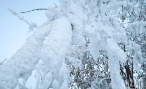 Люди попали под снежную лавину в Дагестане