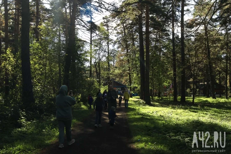 Фото: Бегом по бору: в Кемерове прошёл Всероссийский день бега «Кросс нации» 34